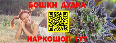 apvp Бийск